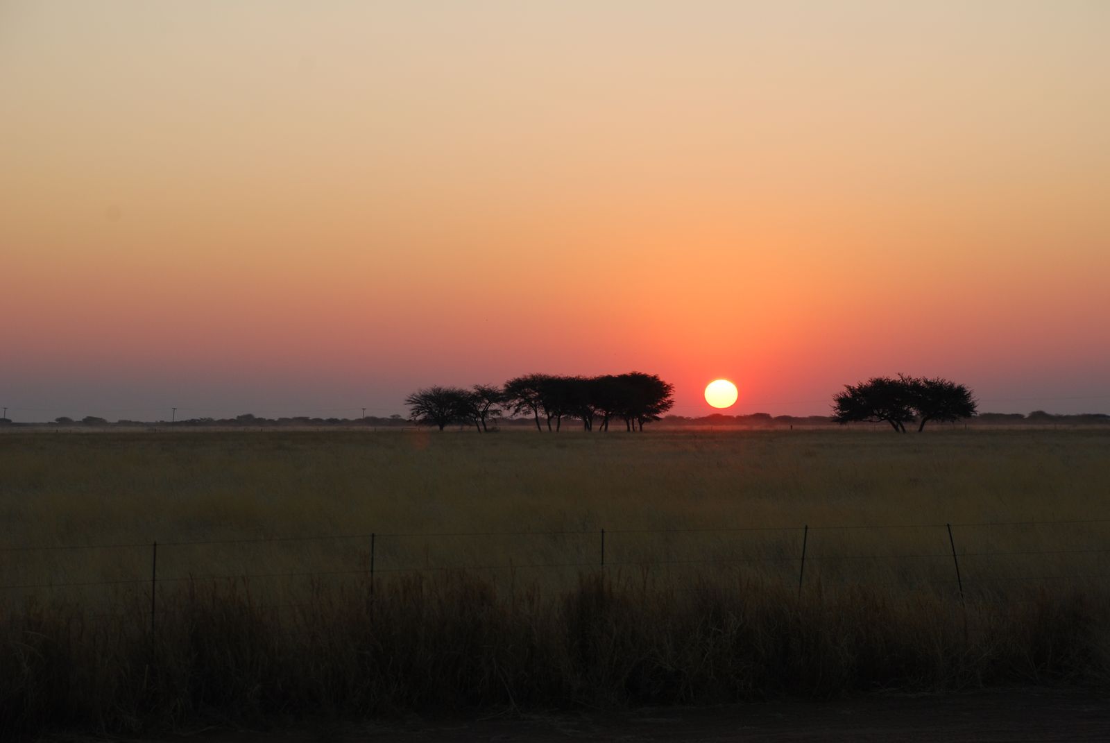 Namibia 2010