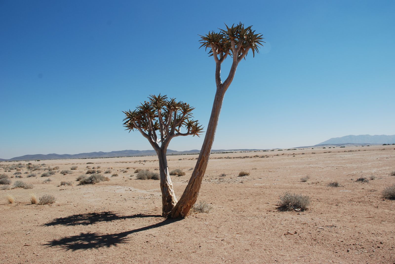 Namibia 2010
