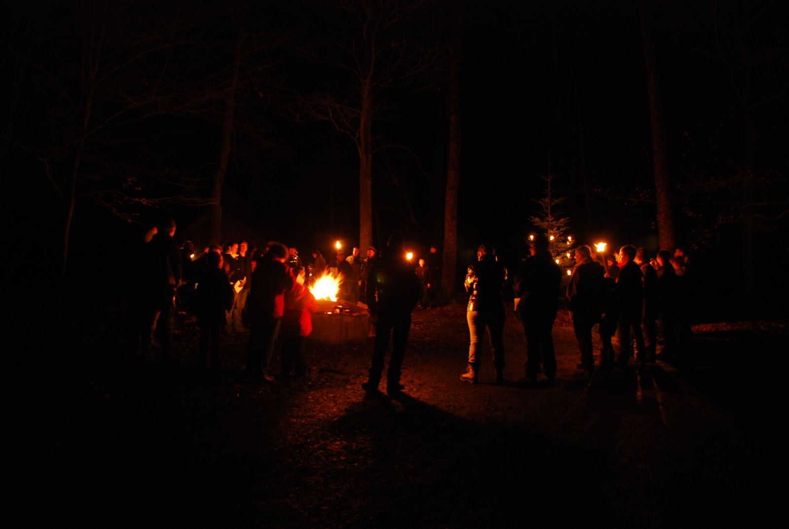 Waldweihnacht 2008